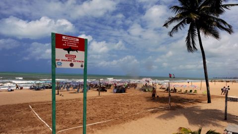 Playa Brasil tiburones