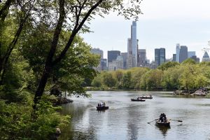 Hallaron el cadáver de un hombre en un lago de Central Park, en el mismo lugar donde hace un año apareció otro