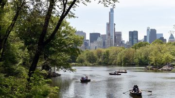 Lago artificial para remar en Central Park, NYC.