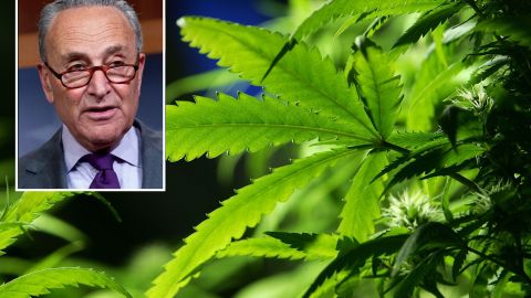 El líder de la mayoría del Senado, Chuck Schumer, patrocina ley sobre la marihuana.