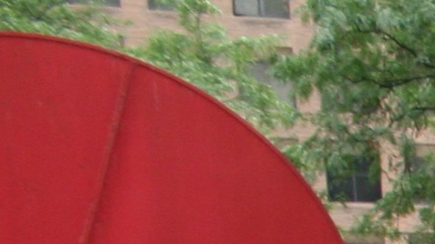 Manifestantes aseguran que más del 92% de las detenciones en el 2020 fueron a negros e hispanos.