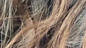 Francisca junto a Gennaro