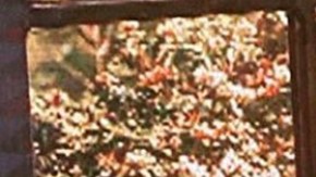 Carlos Calderón y su prometida Vanessa Lyón serán papás