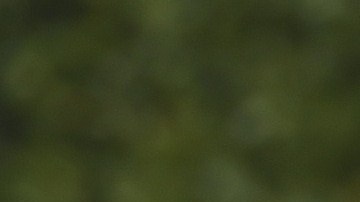 Tokio 2020: horas antes de la inauguración, un atleta dio doping positivo por cocaína