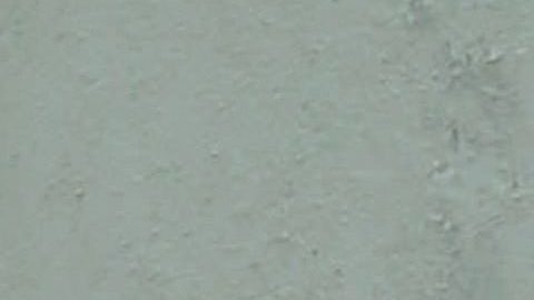 La retaguardia de Jennifer Lopez se llevó todo los piropos al usar un jean ajustado por las calles de Los Ángeles.