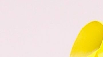 Cardi B celebró el cumpleaños de su hija Kulture por todo lo alto y a full lujo: caballos, castillo y princesas dentro.