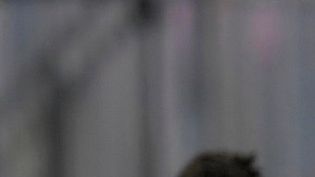 Messi dio dos asistencias y marcó un golazo inolvidable.