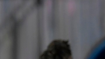 Messi dio dos asistencias y marcó un golazo inolvidable.