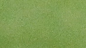 Hassani Dotson pide matrimonio en la MLS