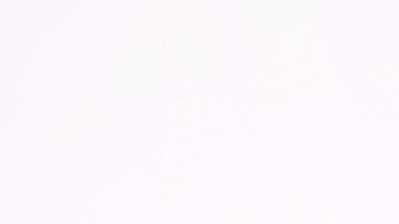 Maggie Castro, Subdirectora estatal, AARP New York.