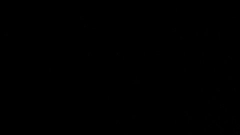 La esgrimista de 36 años participó en sus terceros Juegos Olímpicos.