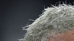 Neymar y Messi nunca ganaron una Copa América antes de la final de este 10 de julio.