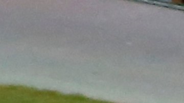 Pedro Gallese es la figura de Perú