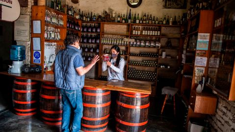 Pisco