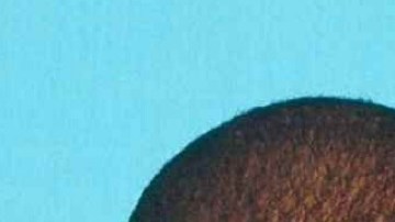 La Policía de Nueva Jersey difundió en Facebook las fotografías de Tryler Ríos, su hijo Sebastián y su madre Yasemin.