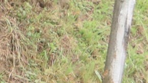 Rigo Urán se mantiene en el segundo lugar de la general.