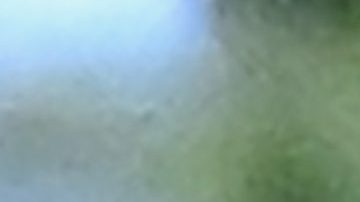 Revelan que la relación de Jennifer Lopez y Ben Affleck va para largo y que quieren un futuro juntos.