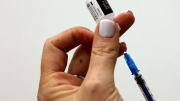 Vacuna contra Covid-19: Pfizer ganó $10,400 millones de dólares en seis meses