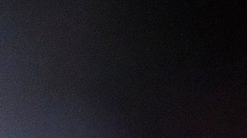 Vladimir Guerrero Jr