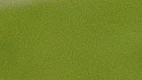 Multa de NFL a Washington Football Team