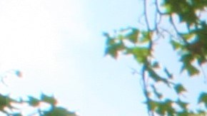 El músico Willy Rodríguez, de padres dominicanos, forma parte de la iniciativa el Museo de la Salsa.