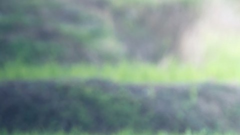 Algunas actividades de tus niños podrían hacer que accedas a créditos del IRS.