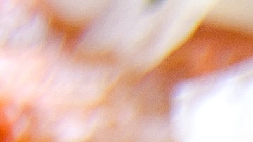 Reacción bebé tacos al pastor