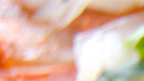 Reacción bebé tacos al pastor