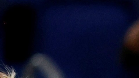 Sorpresas en Tokio 2020: Naomi Osaka se despide en primer partido y Simone Biles fuera de competencia “por nervios”