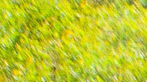 Casa humilde limpieza viral