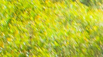 Casa humilde limpieza viral