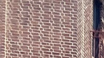 Las familias latinas se sacrifican para cuidar de las personas mayores.