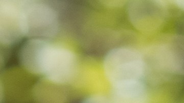 Young,Man,Holding,Hand,Of,Wrong,Girl,On,A,Summers