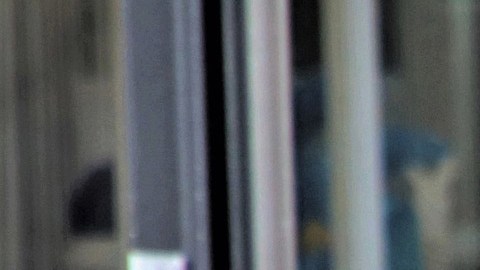 El sector que más empleos reportó fue el de hospitalidad y ocio, pues hubo 194,000 puestos de trabajo que se cubrieron en restaurantes y bares.