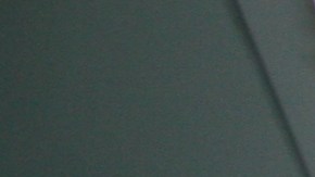 La colombiana Ericka González quien forma parte de la Armada juró como ciudadana estadounidense