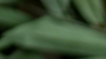 Estrés laboral burnout