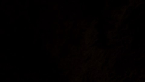 Fantasma caverna viral