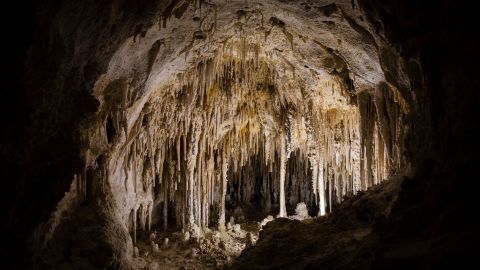Fantasma caverna viral