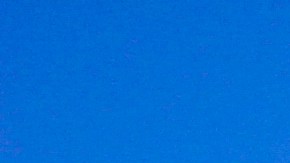 Feria adolescente gaviota