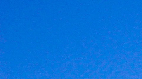 Feria adolescente gaviota