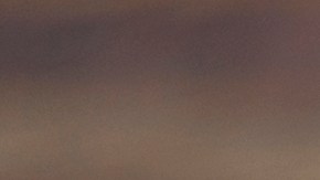 Festejó con banda su divorcio