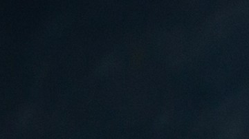 Se introduce anguila para combatir el estreñimiento