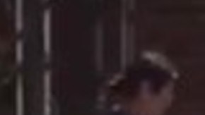 Espeluznante video muestra a familia mexicana asesinando a su perro con piedras y palos