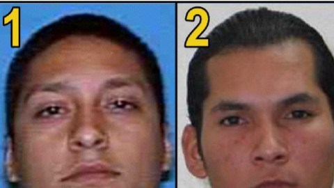 Los 10 más buscados