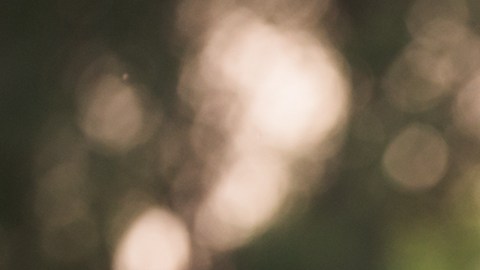 El programa apoya a los padres que quieren que sus hijos se mantengan activos durante el verano.