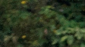 Una calle inundada en Santo Domingo, República Dominicana, producto de la tormenta Grace.