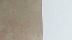 Chet, hijo de Tom Hanks critica las vacunas contra el Covid-19.