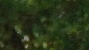 La guatemalteca Olga Delgado sufre la calamidad de que su hijo está en prisión desde 2015