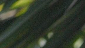 Ariadne Díaz y José Ron protagonizaron la telenovela "La Mujer del Vendaval".