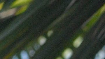 Ariadne Díaz y José Ron protagonizaron la telenovela "La Mujer del Vendaval".